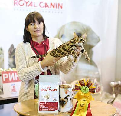 �������� �����  20-21 �������� 2014 ������������ ��� 5-171-169A0857 copy.jpg